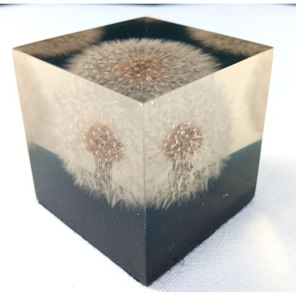 Vintage Dandelion Lucite Resin Cube Paperweight  Shoreline 2 3/8
